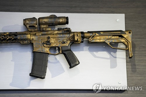 AR-15 스타일의 소총[AP 연합뉴스 자료사진]